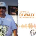 DJ Wally Motsweding FM 90s Shake Your Head Party Mix 2022