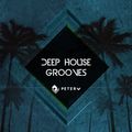 House Grooves #002 - Deep House (LIVE 31-05-2020)