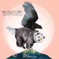 Andrey Pushkarev - Shanti Radio: Nugatory
