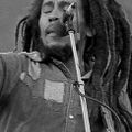 Bob Marley interview with Steve Gilbert WMJX radio (96X) Miami (09/14/1980)