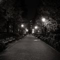 night walk