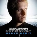 ARMIN VAN BUUREN - The Sound Of Good Bye (DJ Luis Alvarado Feat. Jose Spinnin Cortes Mix)
