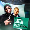 DJ Pipdub - Catch These Vibes 2022 (Mix)