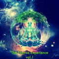 The Namsa Experience (Aura Healing Sessions To  Enlightenment)  vol.1 (Liquid Mind)