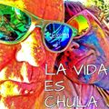 SPINNING - LA VIDA ES CHULA - BY ALFRED