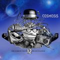 MINE IS GROOVE VOLUME 12 (COSMOSIS) (mixed by dj rawkid)