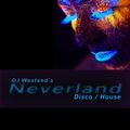Neverland - Disco / House - Jan. 2020
