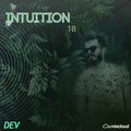INTUiTION #18