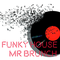Funky House Mix - Vol 17