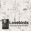 Lovebirds 1 -589- 090420 (47)