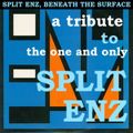 The Enz, beneath the surface (A tribute to Split Enz)