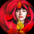 The Thrill and the Hurting — autumnal shades of Kate Bush