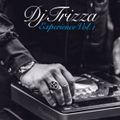 Dj Trizza Experience Vol. 1