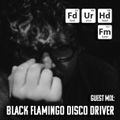 Feed Your Head hosted by the Hutchinson Brothers with Black Flamingo Disco Driver