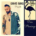 David Aarz presents PURE FLAMINGO (Black Flamingo Vol.3)