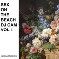 DJ Cam - Sex On The Beach #1