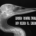 Acid Soul vol.23 by Emir E. Mardan