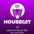 Deep House Cat Show - Love is in the air Mix - feat. Verbund West