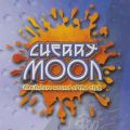 Yves De Ruyter at Cherry Moon (Lokeren - Belgium) - 18 August 1995