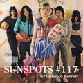 SUNSPOTS #117 w/Federico Ferrari Punk-Rock, Power-Pop 1970-1981