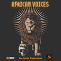 Doc Idaho | African Voices