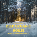#028 Live Stream - Deep Organic House