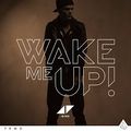 DJ THE BEAT 2014 - WAKE ME UP