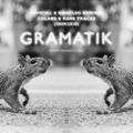 Gramatik - Official & Bootleg Remixes + Colabs & Rare Tracks (2009-2012)