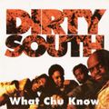 ( Hip Hop ) Down South Classics ( Ray Salat )