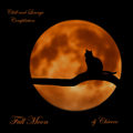 ``Full Moon`` Chillout and Lounge Compilation