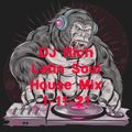 DJ Rich Latin Soul House Mix 1-11-21