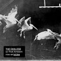 The Oddlogs: Post-Ambient (30.06.17)