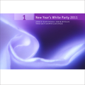 PART 1: New Year's White Party . Upstate, New York . 2011 . Joe D'Espinosa