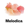 Melodica 11 July 2022
