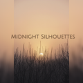 Midnight Silhouettes 2-19-23