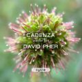 Cadenza Podcast | 203 - David Pher (Cycle)
