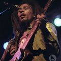 Bob Marley & The Wailers - 1978-05-25 Orpheum Theater, Madison, WI  (Early Set) Soundboard 