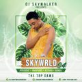 DJ Skywalker - Skywrld 4