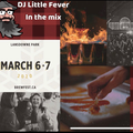 DJ LITTLE FEVER LIVE @ OTTAWA BREWFEST MARCH 7TH 2020