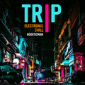 Trip Electronic Chill & Flow Mix - トリップエレクトロニックチル