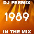 DJ Fermix - 1989 In The Mix (Section Yearmix)