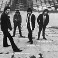 Band Feature: The Moving Sidewalks & American Blues - The Roots of ZZ Top