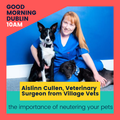 Interview with Aislinn Cullen, Village Vets - 14th March 2023