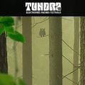 6P3S live @ Tundra 2013 (DUB)