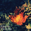Autumn - Chillstep Mix