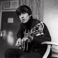 George Harrison ( Hits)