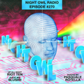 Night Owl Radio 270 ft. Riot Ten and Slushii