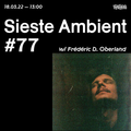 Sieste Ambient #77 w/ Frédéric D. Oberland