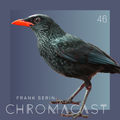 Chromacast 46 - Frank Serin