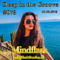 Deep in the Groove 078 (01.03.19)